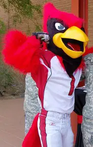 the Arizona Cardinals mascot