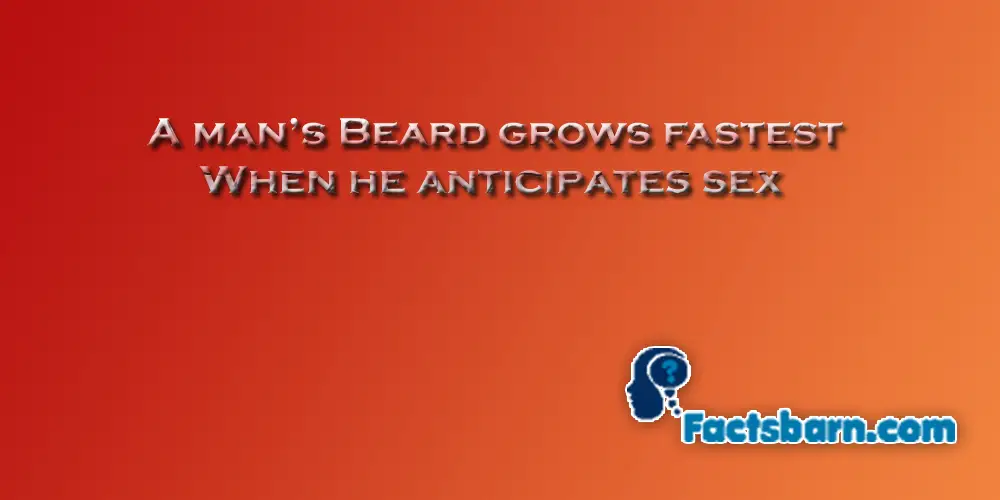Interesting Fact about Beard