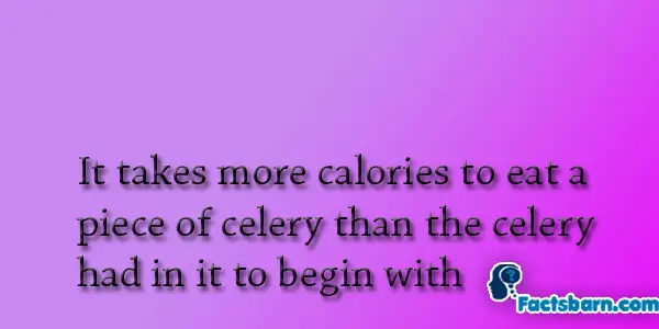 Interesting Fact About Celery