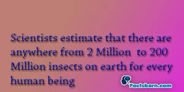 Interesting Fact About Insects