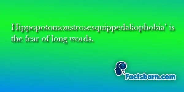 Interesting Fact About Hippopotomonstrosesquippedaliophobia