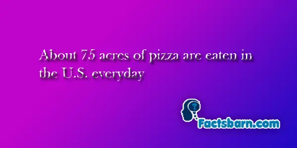 Interesting Fact About Pizza