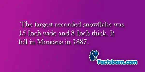 Interesting Fact About Snowflake