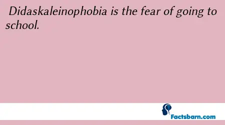 Interesting Fact About Didaskaleinophobia 
