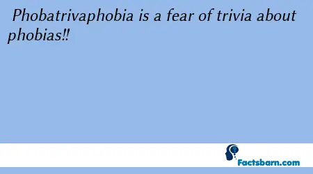 Interesting Fact About Phobatrivaphobia