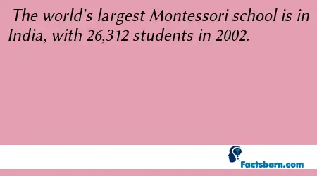 Interesting Fact About Montessori School