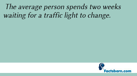 Interesting Fact About Traffic Light