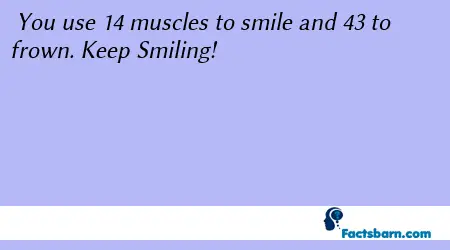 Interesting Fact About Smiling 