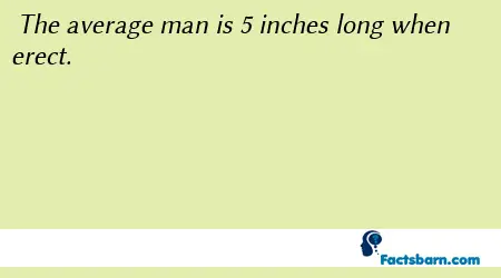 Interesting Fact About Man