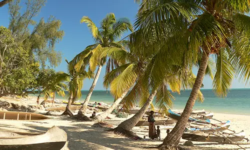 Beach_in_Madagascar_with_pirogues_and_palm_trees