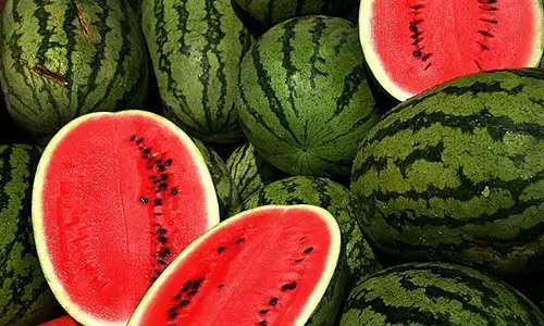 800px-Watermelons