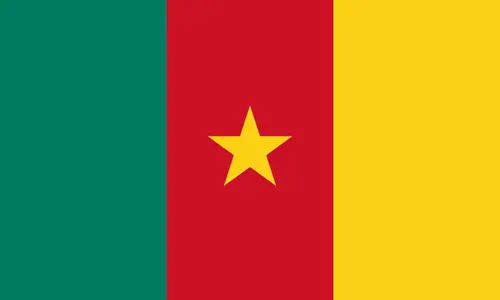 600px-Flag_of_Cameroon.svg