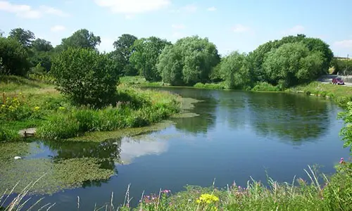 Pennytown_Ponds_-_geograph.org.uk_-_228152