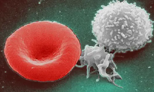 Red_White_Blood_cells