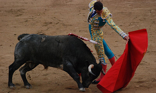 800px-Madrid_Bullfight