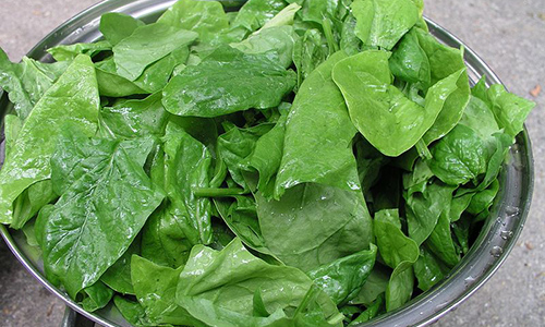800px-Spinach_leaves