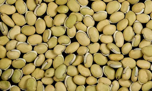 800px-Val_Beans