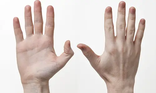 Human-Hands-Front-Back